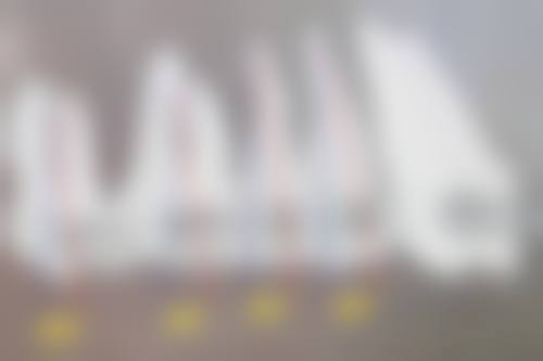 程红敏擅长项目列表