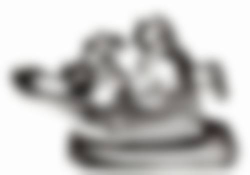 牛步云擅长项目列表