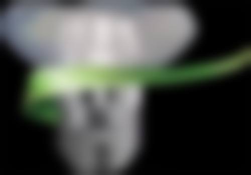 黄复景技术水平评价