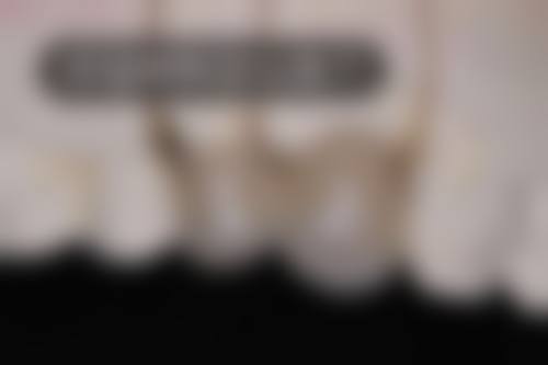 程红敏擅长项目列表