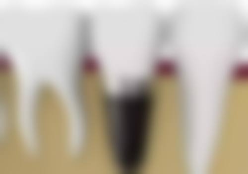 程红敏预约方式