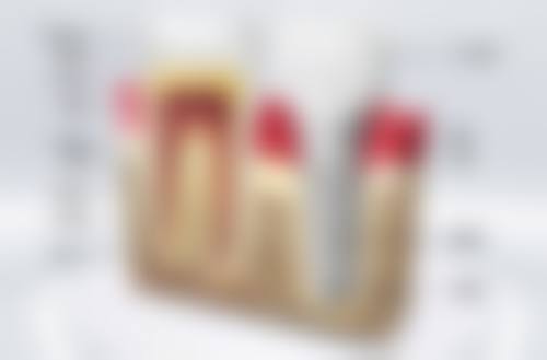 程红敏技术水平评价