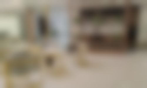 湖州复大中齿口腔(织里店)核心项目