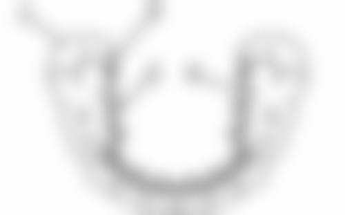 雷慧云患者评价