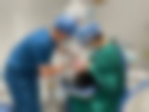 罗文彪擅长项目列表