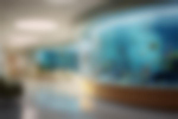 濮阳柏林牙医(振兴路门诊)