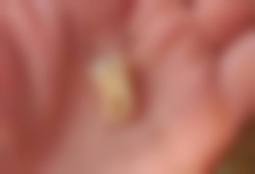 杨悠技术水平评价