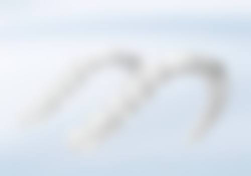 孔红梅患者评价