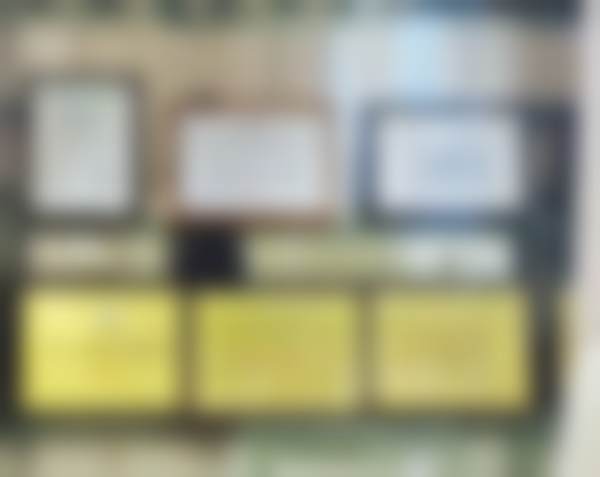 杜璇擅长项目列表