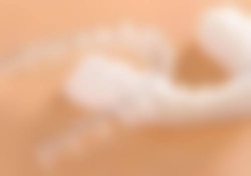 湖州吴兴浙口口腔诊所医生团队