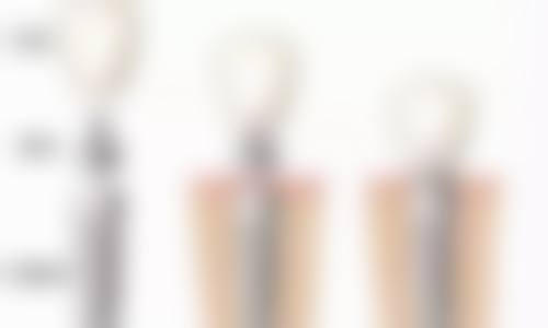 胡婷婷擅长项目列表