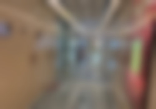 刘丽娟技术水平评价