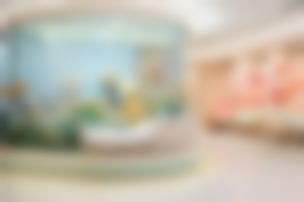 广东珠海锆齿口腔