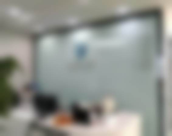 刘石擅长项目列表