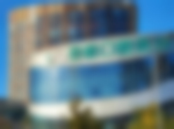 李临梅擅长项目列表