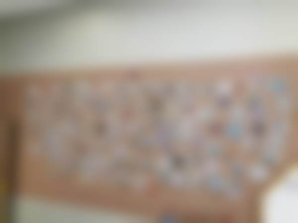 李临梅擅长项目列表