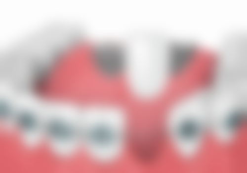 贾丹丹擅长项目列表