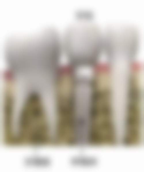 平陆白天鹅口腔诊所地址及到院路线