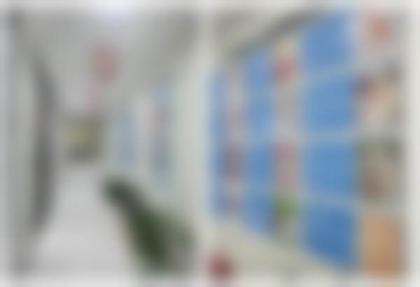 南京贝鹤雅康口腔连锁