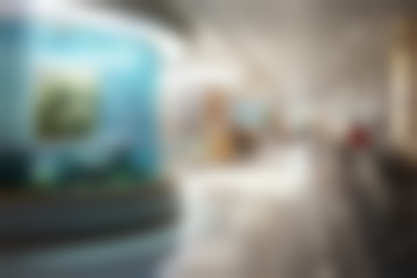 江苏连云港和盛口腔擅长项目有哪些？