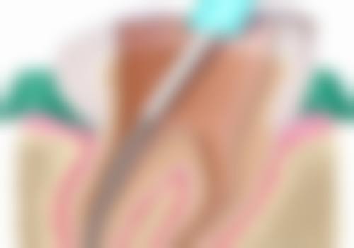 浙江湖州长兴慧仁口腔诊所交通攻略