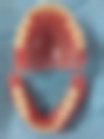 胡杨梅技术水平评价