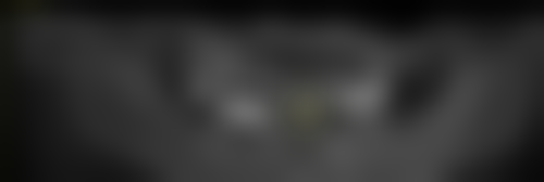 李志浩技术水平评价