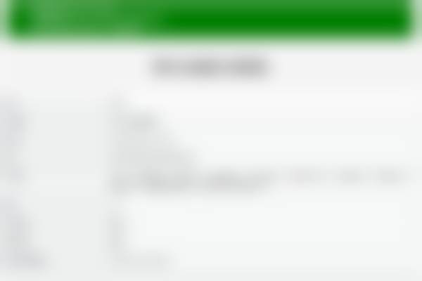 丁铁铸技术水平评价