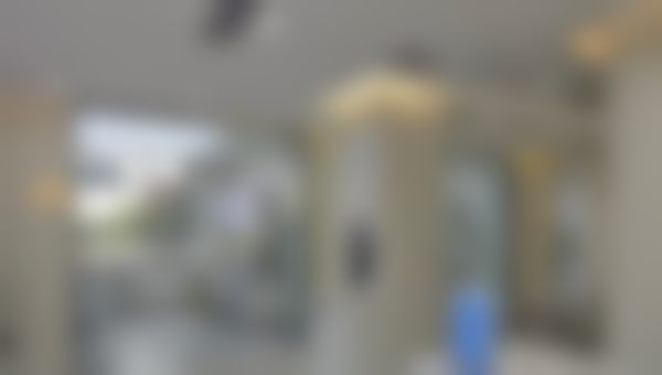 刘岱豪技术水平评价