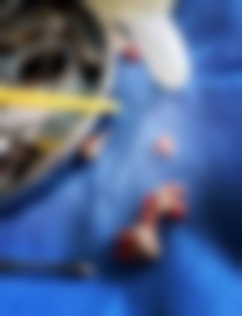 宜昌宜都黄志强口腔诊所医生团队解析