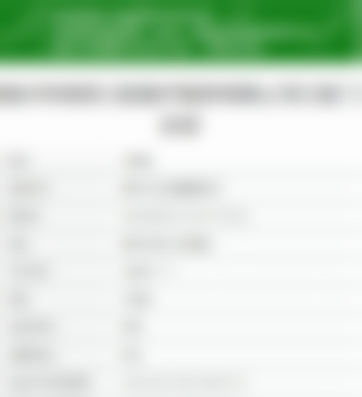 王璞擅长项目列表