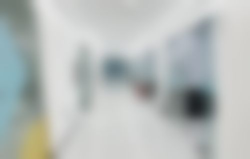 李向飞擅长项目列表