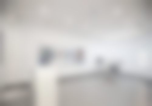 孟凡龙技术水平评价