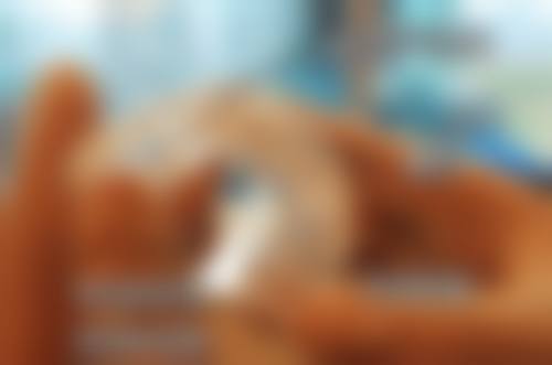 山东济南章丘瑞祯口腔医院交通攻略