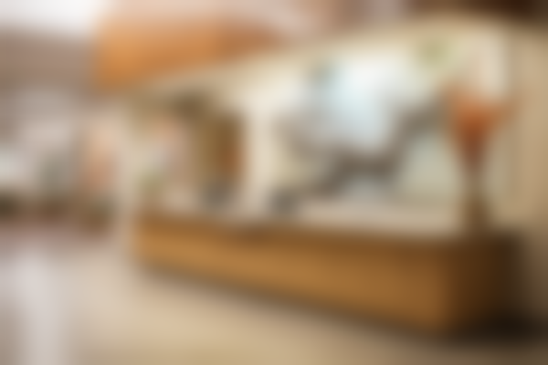 广州诚飞港大口腔门诊部