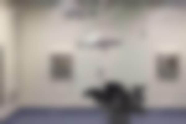 株洲华美口腔科医生团队解析