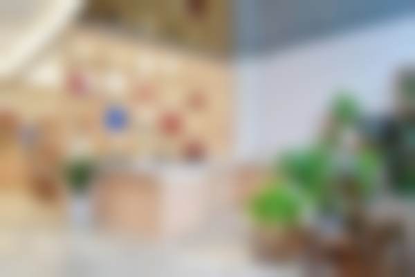 刘素阳技术水平评价