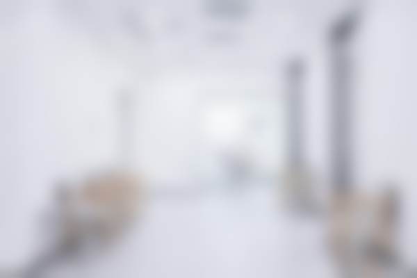 雷军技术水平评价