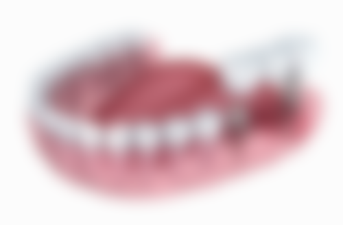 赵孟佳擅长项目列表