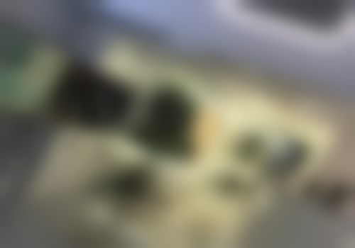 姜娜患者评价