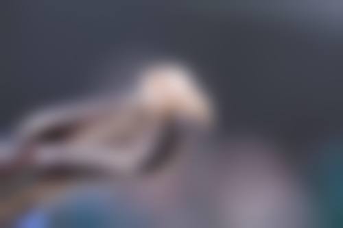 【海阳孺心口腔（福康口腔）真实口碑评价】