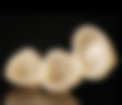 【广东惠州丛林口腔技术设备与环境】