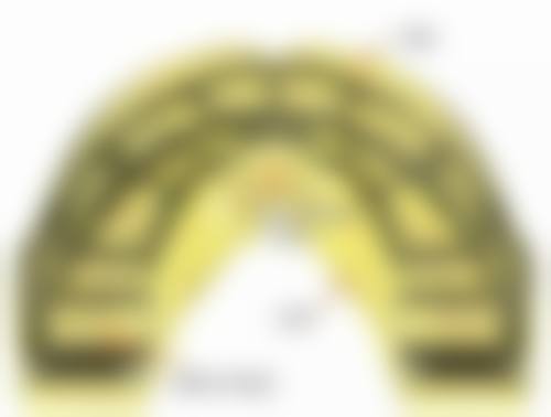 【辽宁抚顺仕康口腔门诊部医生团队介绍】