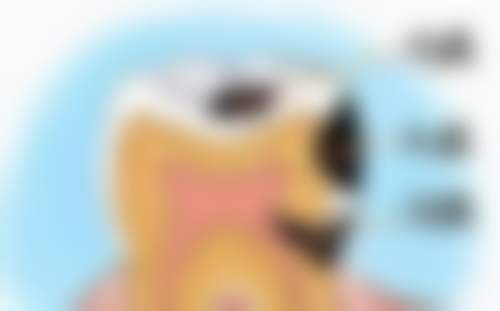 张思齐荣誉