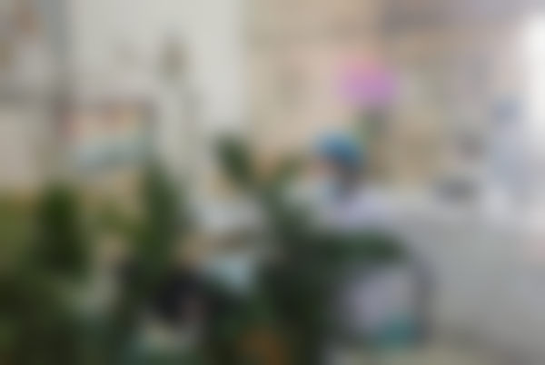 【吉林市吉美皓齿口腔门诊部特色诊疗项目】