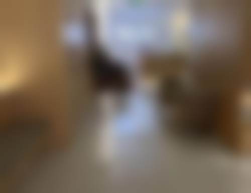 温州俪宣口腔门诊部