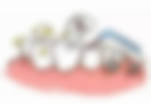 高志永擅长项目列表