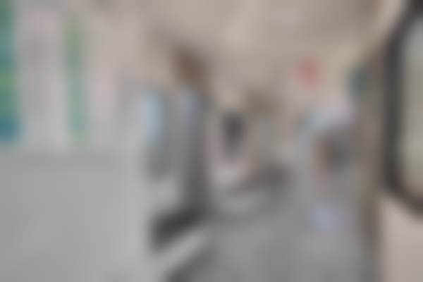 李有桃预约方式及价格表