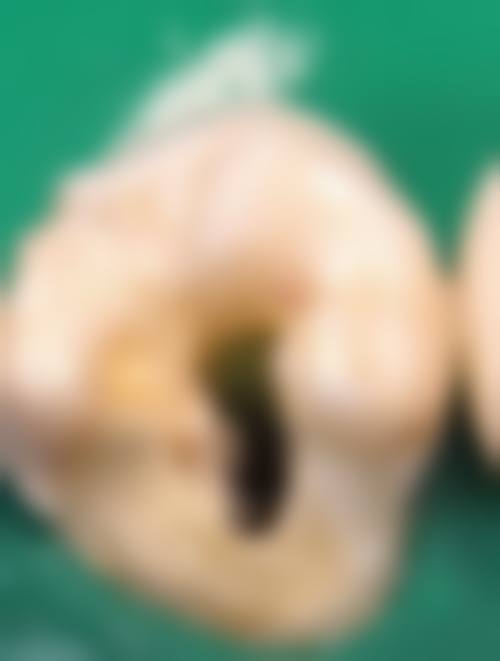 【重庆南川成迦牙博士口腔诊所常见问题解答FAQ】